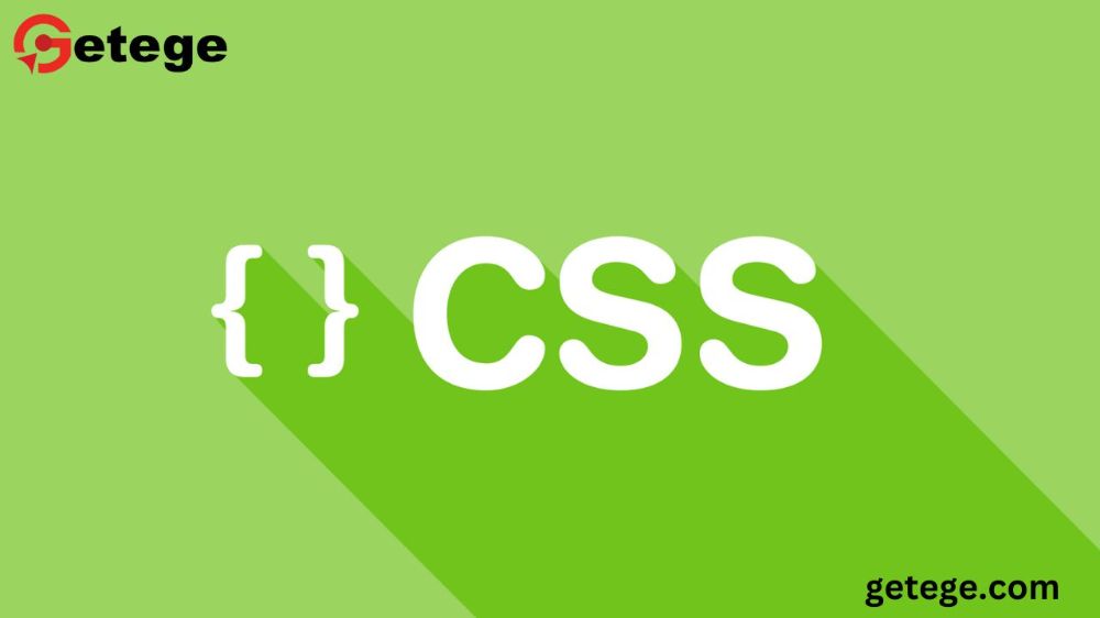 CSS: The Backbone of Modern Web Design